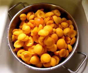 Quelles préparations d'abricots pour l'hiver peuvent être préparés